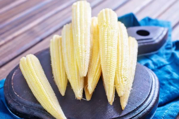 France's September 2023 Maize Imports Surge to $25M